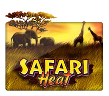 Joker123 : Safari Heat - SNIPLAY88