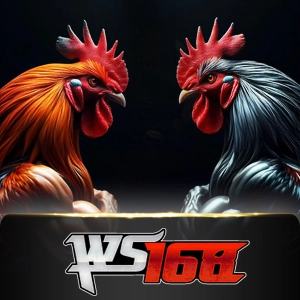 Ws168 Sabung - SNIPLAY88