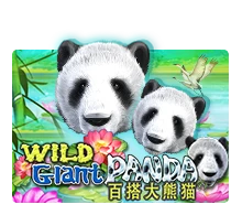 Joker123 : Wild Giant Panda - SNIPLAY88